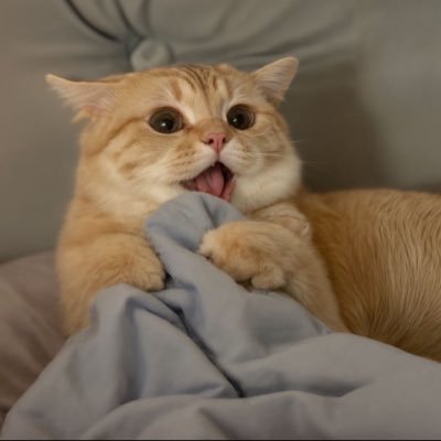 Conservative's profile picture