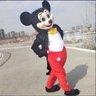 الياسمين 的头像