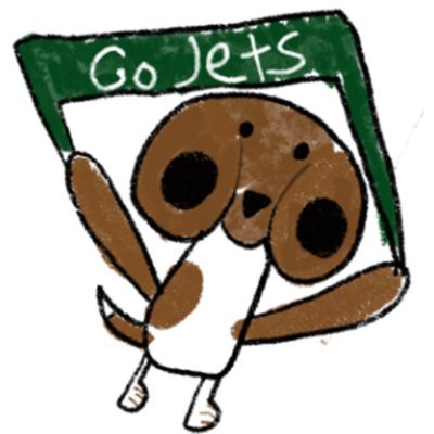 New York Jets's profile picture