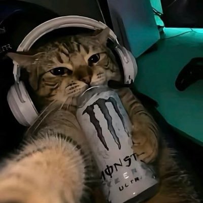 MilaxRaex's profile picture