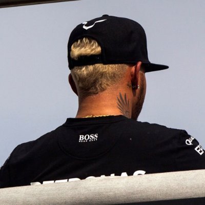 Fan | Hamiltonismo's profile picture