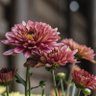 Фото профиля نون