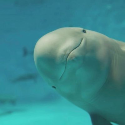 L0GURT's profile picture