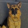CrystalAI profil fotoğrafı