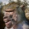 Profilbild von Digital Gorilla