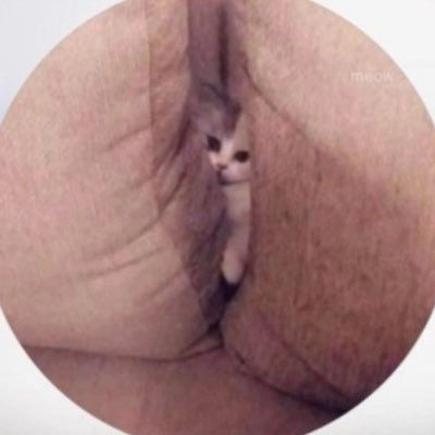 leaks_onlyfansi's profile picture