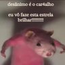 É rica 的头像