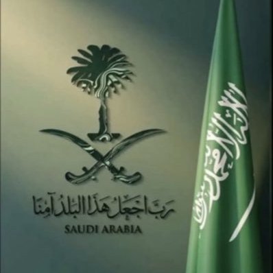 AbdulahAlsalm's profile picture