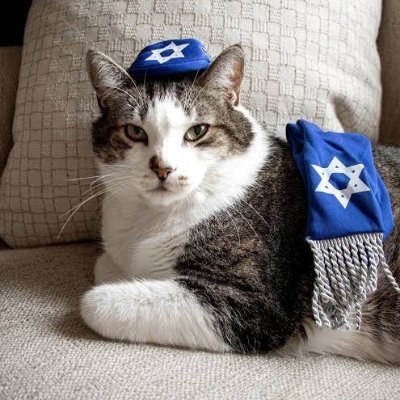 Wonder_star21's profile picture