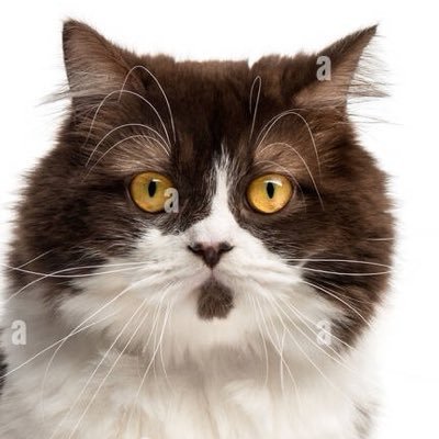 🕯️'s profile picture