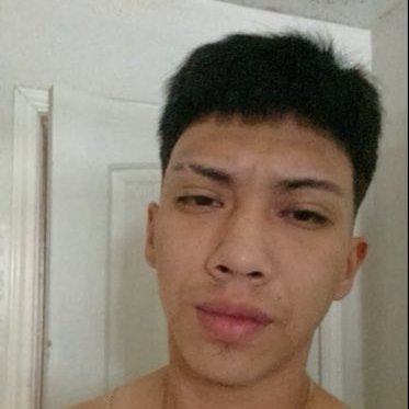 occclalo's profile picture