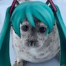 Cᨵry (touching grass again)'s profile picture