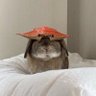 Dan's profile picture