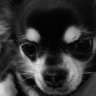 Profilbild von babsy