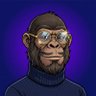 The Ape Advisor 🐵 的头像