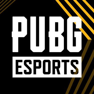 PUBG Esports's profile picture