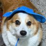 milkdust's profile picture