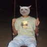 CryingBilla profil fotoğrafı