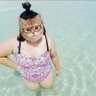 Фото профиля Fat Cat (โตแล้วนร้า)