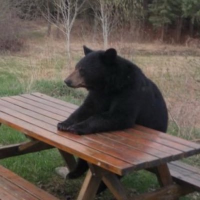 Sp1thfc's profile picture