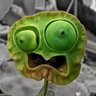 Alabaster Purl's profile picture