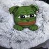 PuppyDogGroyper's profile picture