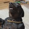 Ghost the Cum Connoisseur's profile picture