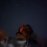 شهد🇸🇦's profile picture