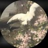 Profilbild von N