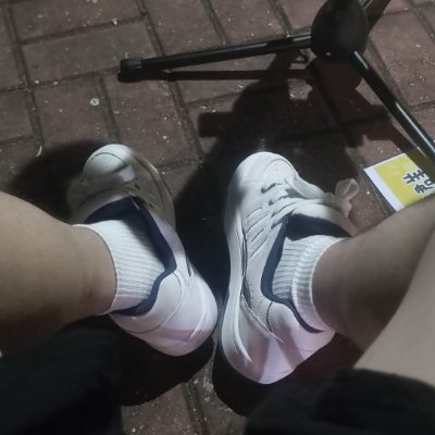 ws19991101's profile picture