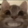 Profilbild von lazy
