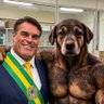 Profilbild von FILHO ORFÃO DO ORELHA