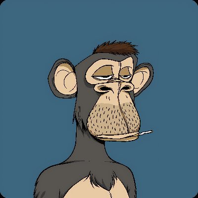 0xQuit's profile picture