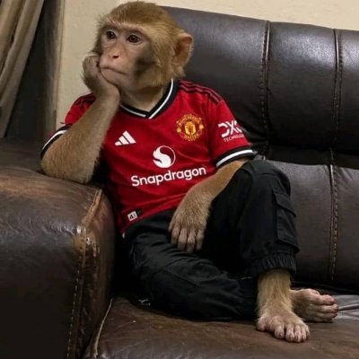 mola mass's profile picture