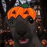 Profilbild von 𝐅𝐞𝐥𝐞𝐬 🎃 / 2° Acervo Cordelius 🍄‍🟫