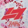 L7 Zahvs's profile picture
