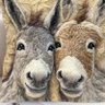 Burrinho Extremamente Fofo 🇧🇷🇺🇸🇨🇭 profil fotoğrafı