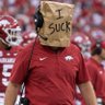 Hog Boy ๐'s profile picture