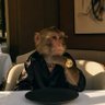 SK360's profile picture