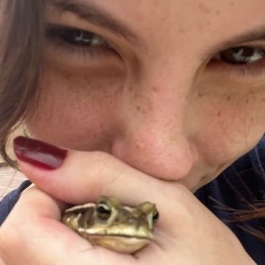 marilongui's profile picture