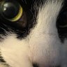 nunjabiznez profil fotoğrafı