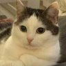 Profilbild von Your Prince