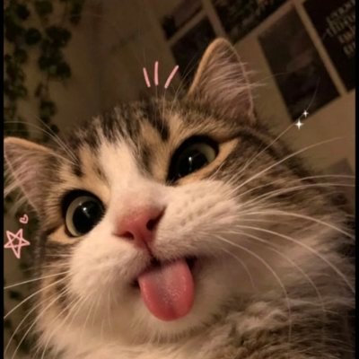 NKampong's profile picture