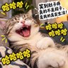 内涵段子's profile picture