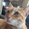 Profilbild von Oggy