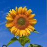 BlessedofGod_aa8's profile picture
