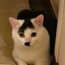 小小 profil fotoğrafı