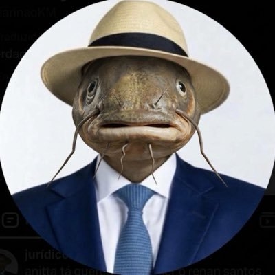 🐟's profile picture