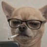 Profilbild von Luthor