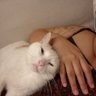 Daniela Fonseca's profile picture
